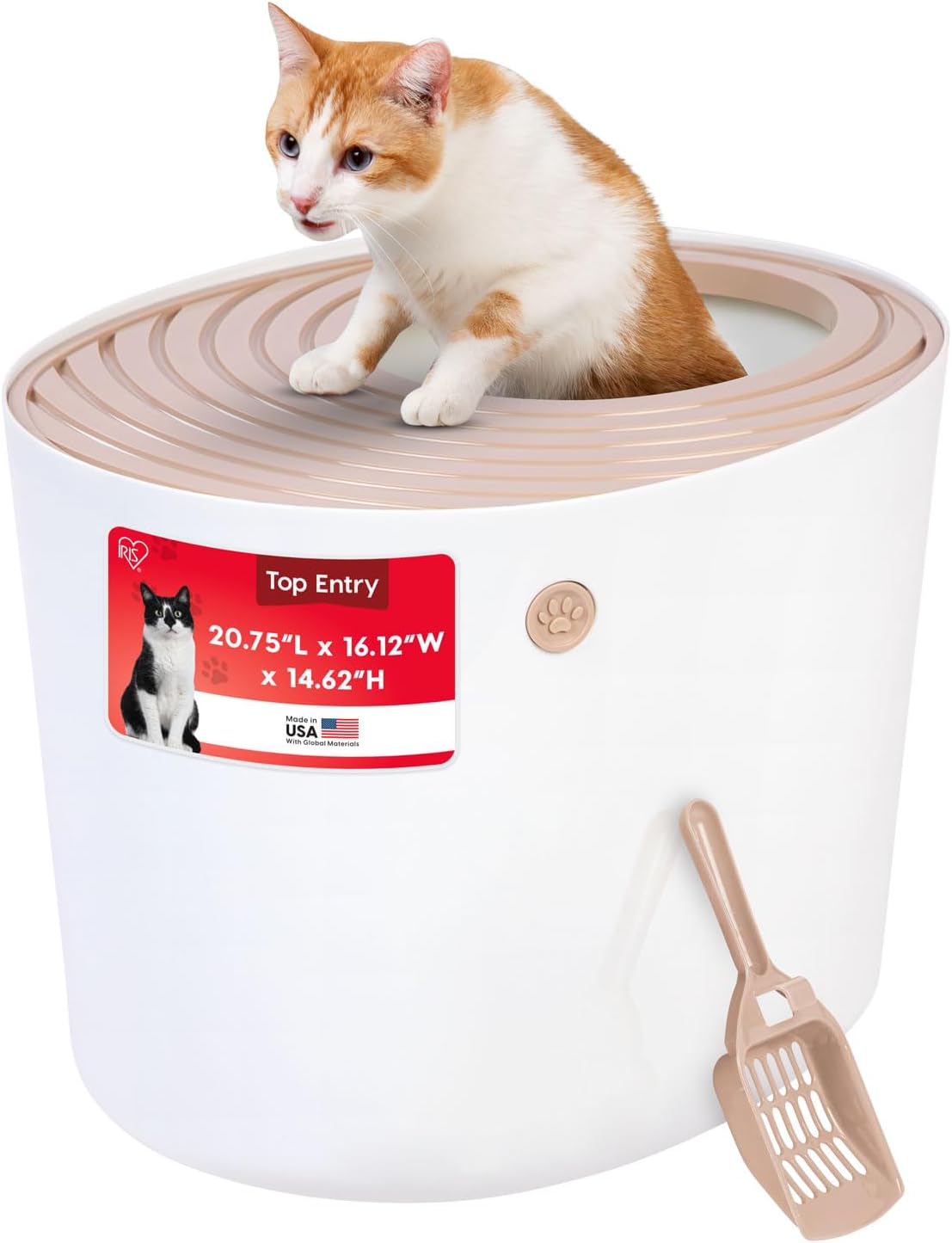 Cat exiting IRIS top entry litter box onto grooved lid