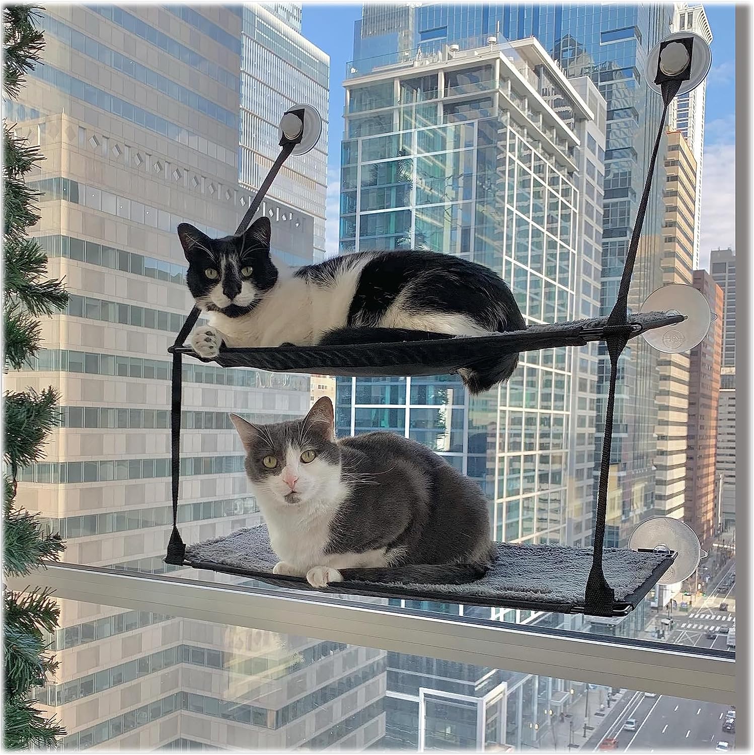 K&H EZ Mount Window Bed for small apartment.